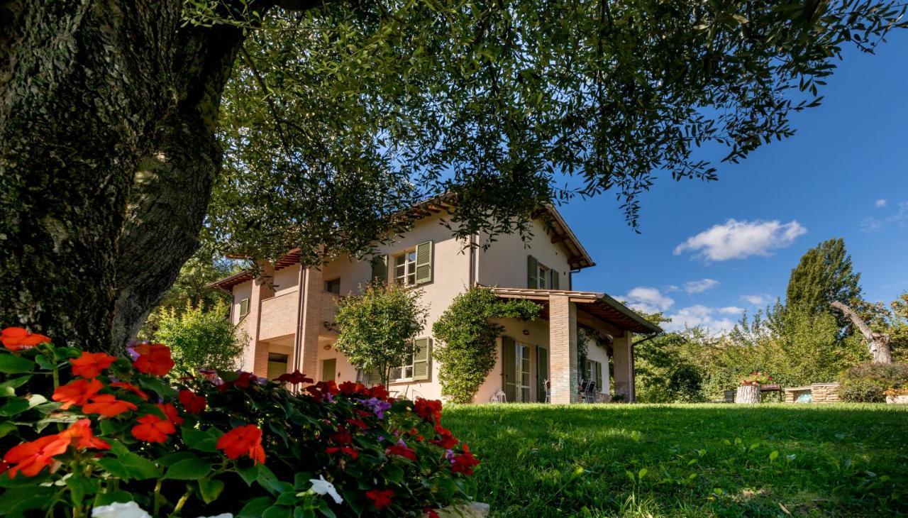 Altra Meta B&B Gubbio Luaran gambar